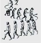 Teoria da Evolução